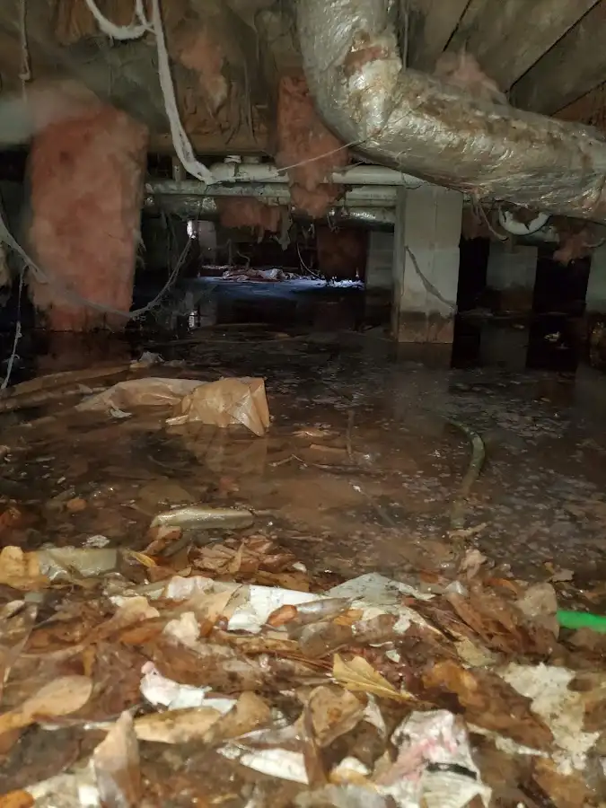 Crawl space flood assessment for Leak Detection & Repair in Meadow Lakes